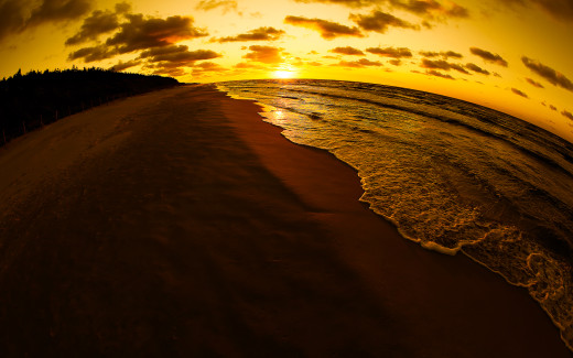 294300 (a): :2560x1600